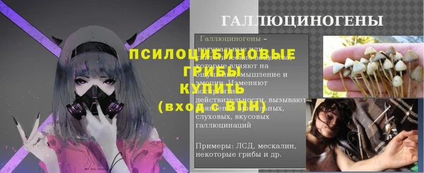 герыч Алзамай