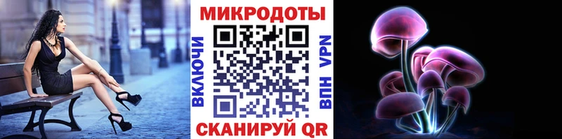 цена наркотик  Находка  Галлюциногенные грибы MAGIC MUSHROOMS 